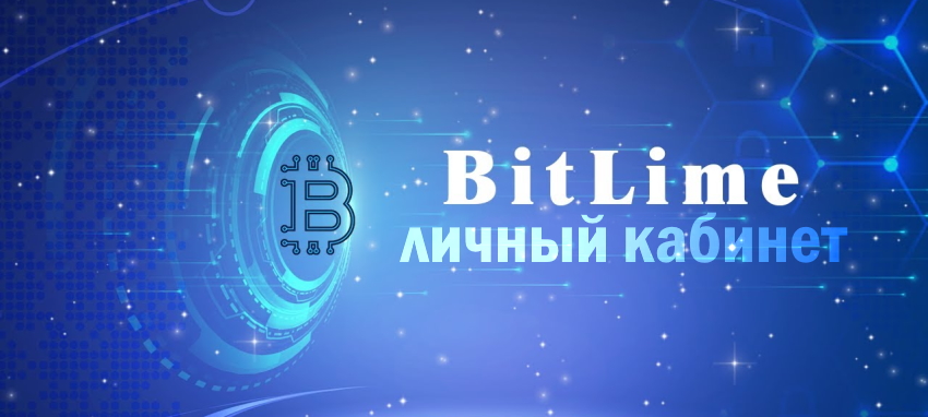 Бит лайм проект