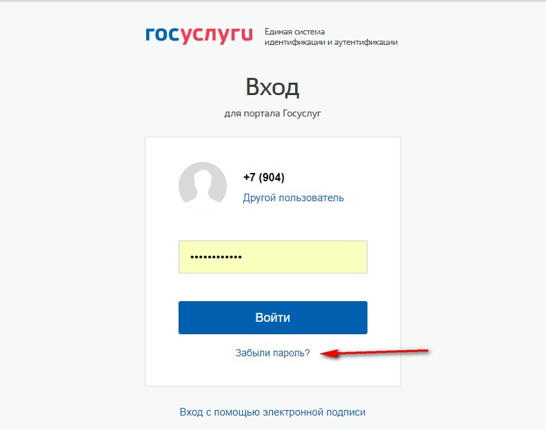 Пароль мобильного телефона сменить. Пароль на госуслуги. Логин для госуслуг пример. Логин пароль госуслуги. Госуслуги личный кабинет войти по логину и паролю.