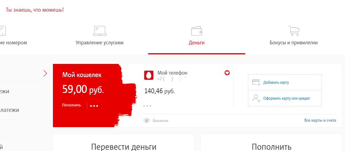 Где там номер. Мой кошелек МТС. МТС пополнение кошелька. Кошелек МТС деньги личный кабинет. МТС кошелек идентификация.