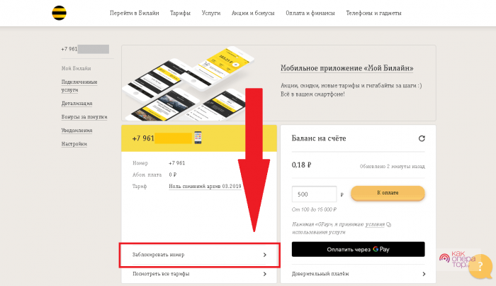 Через какое время блокируется сим карта билайн
